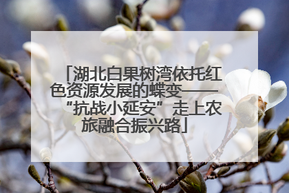 湖北白果树湾依托红色资源发展的蝶变——“抗战小延安”走上农旅融合振兴路