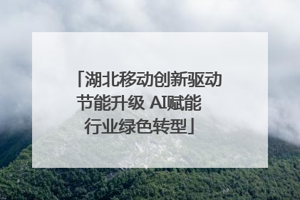 湖北移动创新驱动节能升级 AI赋能行业绿色转型