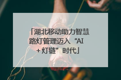 湖北移动助力智慧路灯管理迈入“AI＋灯链”时代