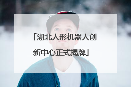 湖北人形机器人创新中心正式揭牌