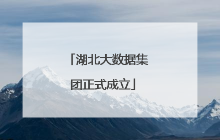 湖北大数据集团正式成立