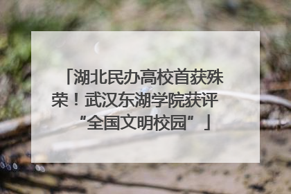 湖北民办高校首获殊荣！武汉东湖学院获评“全国文明校园”