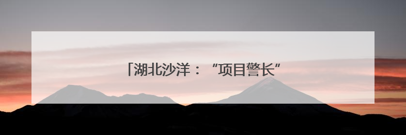 湖北沙洋：“项目警长”驻企 “一对一”解难题