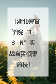 湖北警官学院“1+3+N”实战育警硕果盈枝