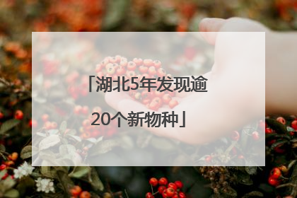 湖北5年发现逾20个新物种