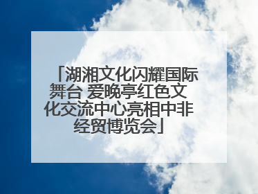 湖湘文化闪耀国际舞台 爱晚亭红色文化交流中心亮相中非经贸博览会