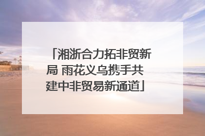 湘浙合力拓非贸新局 雨花义乌携手共建中非贸易新通道