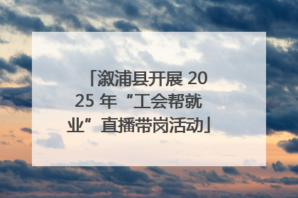 溆浦县开展 2025 年“工会帮就业”直播带岗活动