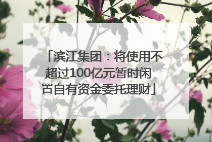 滨江集团：将使用不超过100亿元暂时闲置自有资金委托理财