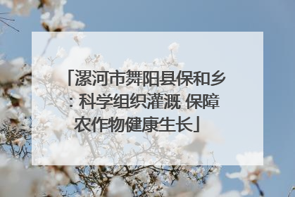 漯河市舞阳县保和乡：科学组织灌溉 保障农作物健康生长