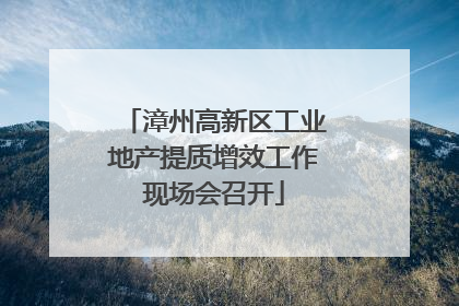 漳州高新区工业地产提质增效工作现场会召开