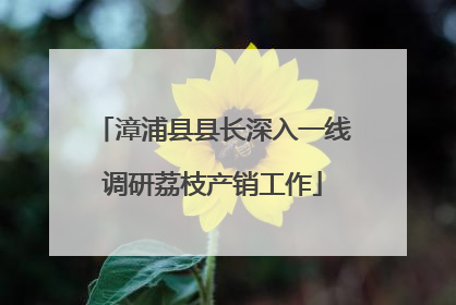 漳浦县县长深入一线调研荔枝产销工作