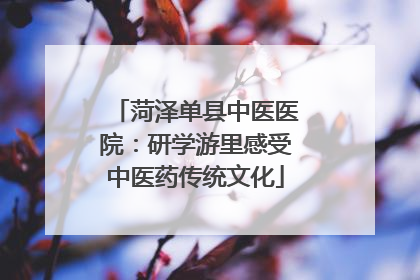 菏泽单县中医医院：研学游里感受中医药传统文化