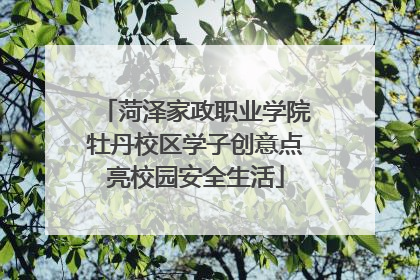 菏泽家政职业学院牡丹校区学子创意点亮校园安全生活