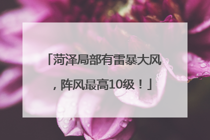 菏泽局部有雷暴大风，阵风最高10级！