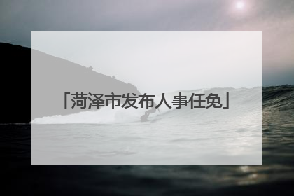 菏泽市发布人事任免