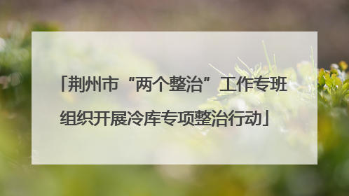 荆州市“两个整治”工作专班组织开展冷库专项整治行动