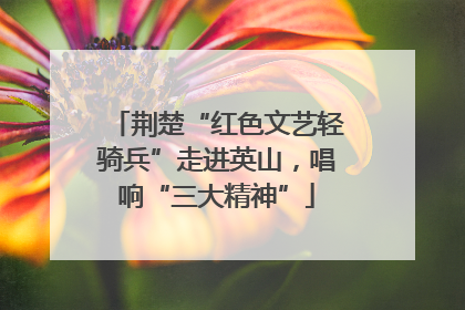 荆楚“红色文艺轻骑兵”走进英山，唱响“三大精神”