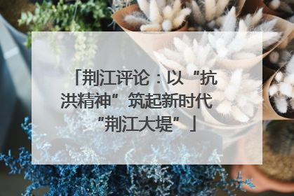荆江评论：以“抗洪精神”筑起新时代“荆江大堤”