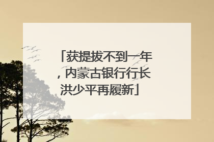 获提拔不到一年，内蒙古银行行长洪少平再履新