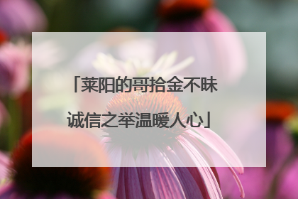 莱阳的哥拾金不昧 诚信之举温暖人心