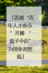 莲都“青年人才夜市”开摊 “盒子小店”为创业者兜底
