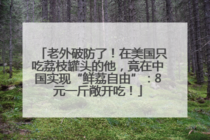 老外破防了！在美国只吃荔枝罐头的他，竟在中国实现“鲜荔自由”：8元一斤敞开吃！
