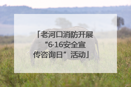 老河口消防开展“6·16安全宣传咨询日”活动