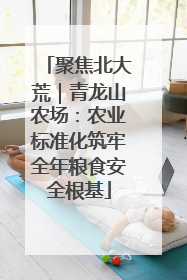 聚焦北大荒｜青龙山农场：农业标准化筑牢全年粮食安全根基