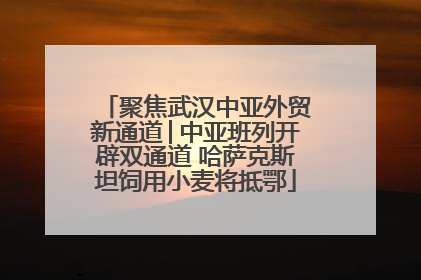 聚焦武汉中亚外贸新通道│中亚班列开辟双通道 哈萨克斯坦饲用小麦将抵鄂