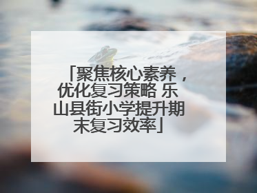 聚焦核心素养，优化复习策略 乐山县街小学提升期末复习效率