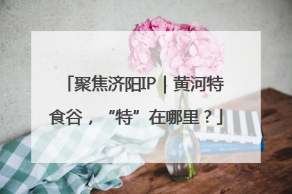 聚焦济阳IP｜黄河特食谷，“特”在哪里？