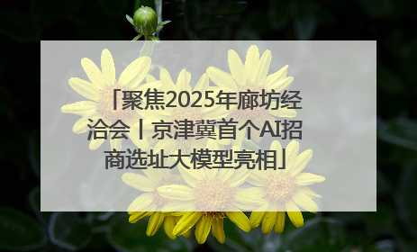 聚焦2025年廊坊经洽会丨京津冀首个AI招商选址大模型亮相