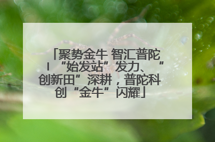 聚势金牛 智汇普陀〡“始发站”发力、“创新田”深耕，普陀科创“金牛”闪耀