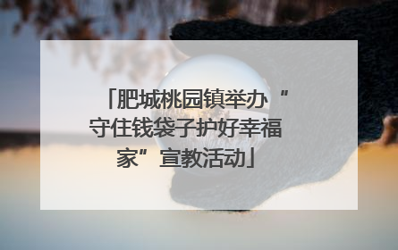 肥城桃园镇举办“守住钱袋子护好幸福家”宣教活动