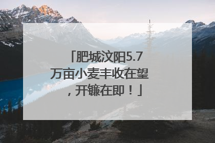 肥城汶阳5.7万亩小麦丰收在望，开镰在即！