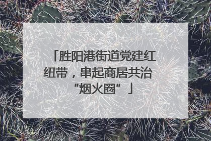 胜阳港街道党建红纽带，串起商居共治 “烟火圈”