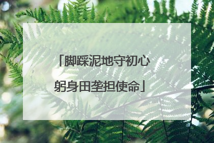 脚踩泥地守初心 躬身田垄担使命