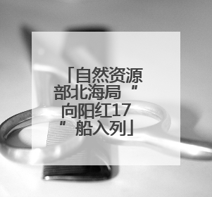 自然资源部北海局“向阳红17”船入列