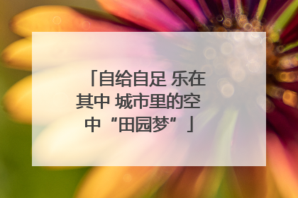 自给自足 乐在其中 城市里的空中“田园梦”