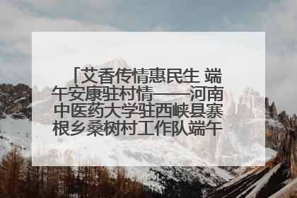 艾香传情惠民生 端午安康驻村情——河南中医药大学驻西峡县寨根乡桑树村工作队端午中医惠民记