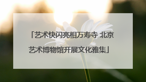 艺术快闪亮相万寿寺 北京艺术博物馆开展文化雅集