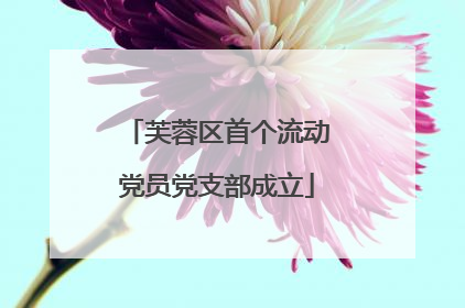 芙蓉区首个流动党员党支部成立