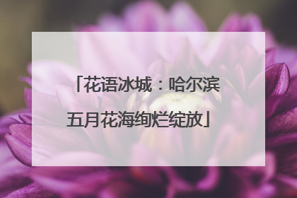 花语冰城：哈尔滨五月花海绚烂绽放