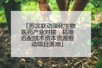 苏滨联动深化生物医药产业对接，精准匹配技术资本资源推动项目落地