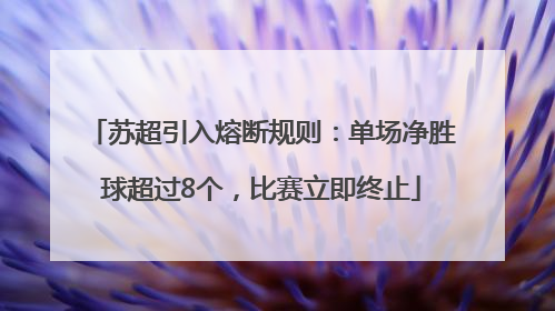苏超引入熔断规则：单场净胜球超过8个，比赛立即终止