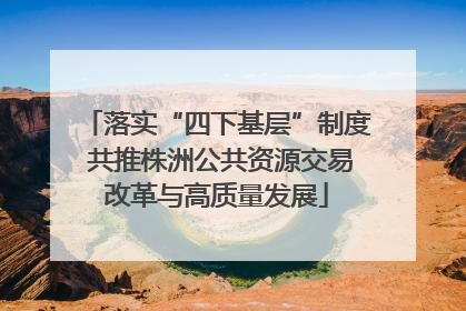 落实“四下基层”制度 共推株洲公共资源交易改革与高质量发展