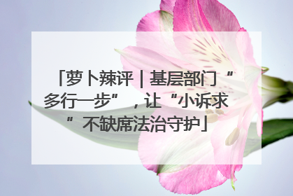 萝卜辣评｜基层部门“多行一步”，让“小诉求”不缺席法治守护