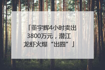 董宇辉4小时卖出3800万元，潜江龙虾火爆“出圈”