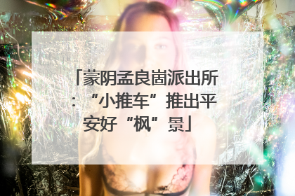 蒙阴孟良崮派出所：“小推车”推出平安好“枫”景